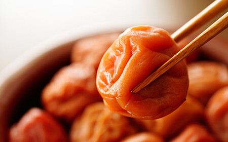 ひらそ農園の完熟南高梅の梅干し　1.2kg（塩分約20%）＜004-004_5＞