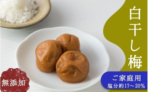 
                  ご家庭用梅干し　無添加白干し梅　500g / みなべ町 梅干 うめぼし ウメ 白干し梅 白梅 家庭用 紀州南高梅 南高梅 簡易包装 お弁当 おにぎり【mrt013】
                