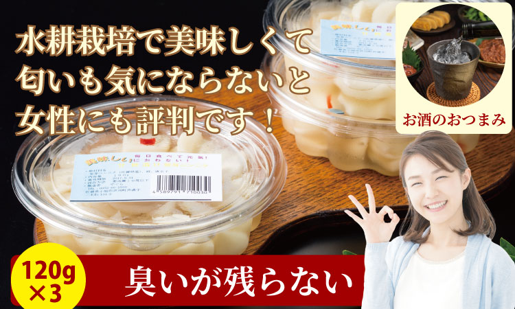 発芽ニンニク甘酢漬けセット（３パック） 健康志向 無臭  にんにく 社会福祉 臭いが少ない ニンニク