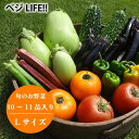 【ふるさと納税】野菜 旬の野菜 セット Lサイズ 約 10～11品 春 夏 秋 冬 宅配 おすすめ 美味しい 季節 旬 新鮮 お届け 栽培期間中 農薬不使用 ベジLIFE!!