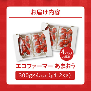 【2027年1月より順次発送】エコファーマー あまおう 約300g×4パック 計1.2kg_いちご あまおう 約300g×4パック 計1200g 甘い 美味しい 果肉 果物 スイーツ スムージー ジャ