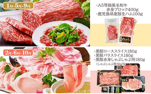 定期便4回配送　肉の定期便 EE-6016【1491491】 _ ふるさと納税 定期便 牛肉 豚肉 肉 黒豚 焼肉 ブロック肉 生ハム 餃子
