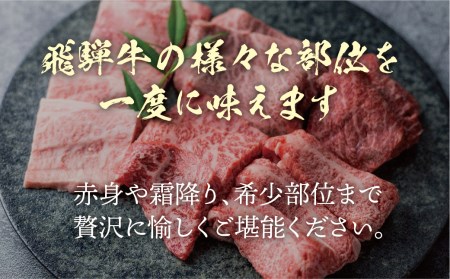 飛騨牛 焼肉6種食べ比べ 希少部位 各100g 飛騨牛 [EN013]
