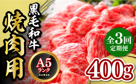 
【全3回定期便】くまもと黒毛和牛 焼肉用 400g やきにく 焼き肉 国産 冷凍 熊本産 贅沢 牛肉【有限会社 桜屋】[YBW095] 60000 60,000 60000円 60,000円 6万円
