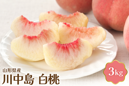 【令和8年産】 川中島白桃 3kg【JAさがえ西村山】山形県産 白桃 ピーチ 桃 川中島