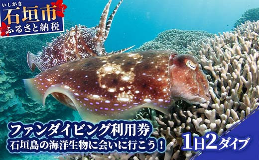 ファンダイビング利用券　石垣島のマンタ・サンゴ・ウミガメに会いに行こう YD-1