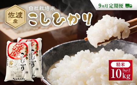 自社栽培米佐渡産こしひかり（精米10kg）9カ月定期便