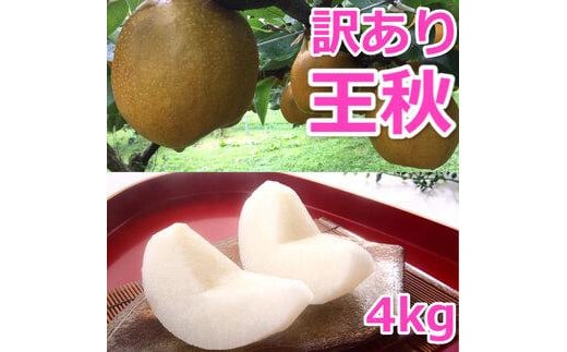 926.【訳あり】王秋梨 4kg（4～13玉前後）※2025年10月下旬～12月上旬頃に順次発送予定【先行予約 梨 なし 果物 フルーツ くだもの 鳥取県 北栄町 おすすめ 人気 送料無料】