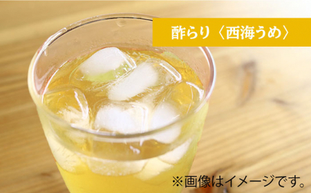 【6回定期便】酢らり 大瓶（あか紫蘇・西海うめ）総計12本＜川添酢造＞ [CDN030] 果実酢