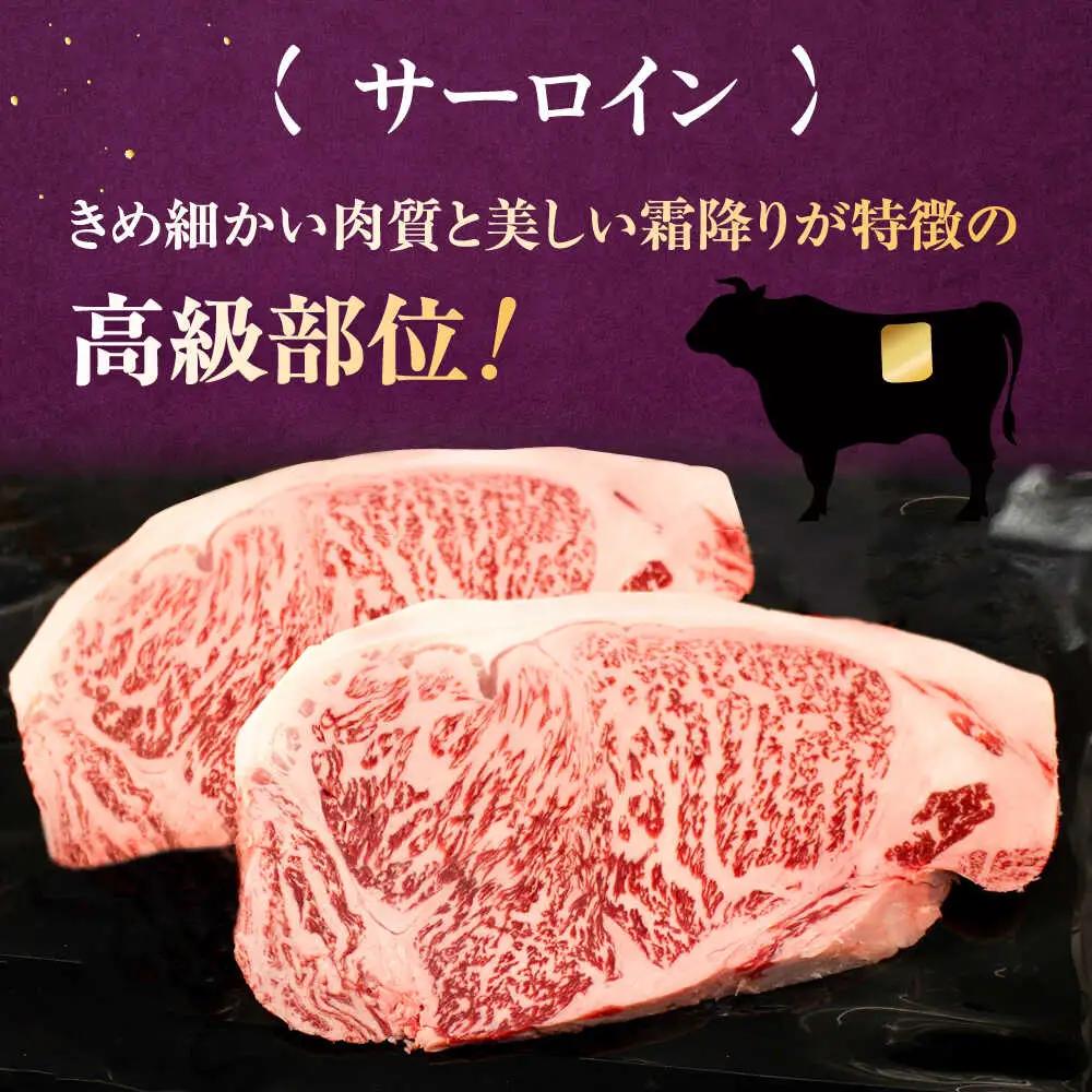 【全6回定期便】【A5-A4等級】博多和牛 サーロイン ステーキ 2枚（計500g）桂川町/株式会社チクゼンヤ [ADBZ019] ステーキ用 和牛 国産 