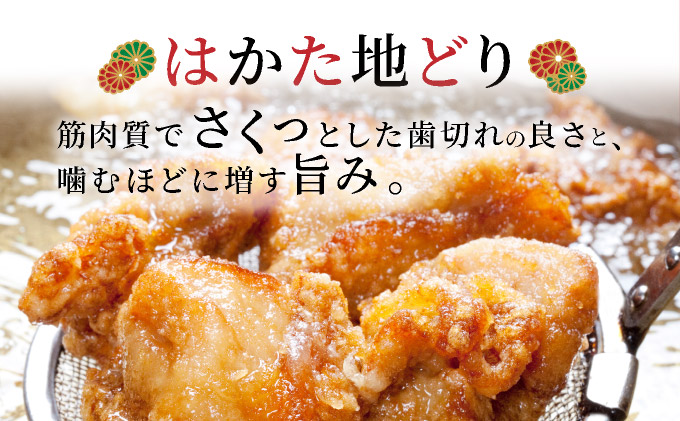 はかた地どり唐揚げ（冷凍） 6袋　CV010