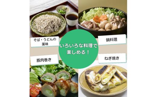 雫石町産 長ねぎ 約5kg 【宮ノ杜SASADA農園】 長ネギ 長葱 ねぎ ネギ 葱 白ねぎ 白ネギ 白葱 新鮮 野菜 生野菜 やさい 人気野菜 国産 産地直送 農家直送 人気 おすすめ 5キロ ５k