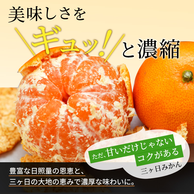【2025年1月中旬頃より順次発送】三ヶ日みかん 青島 7kg以上【配送不可：離島】