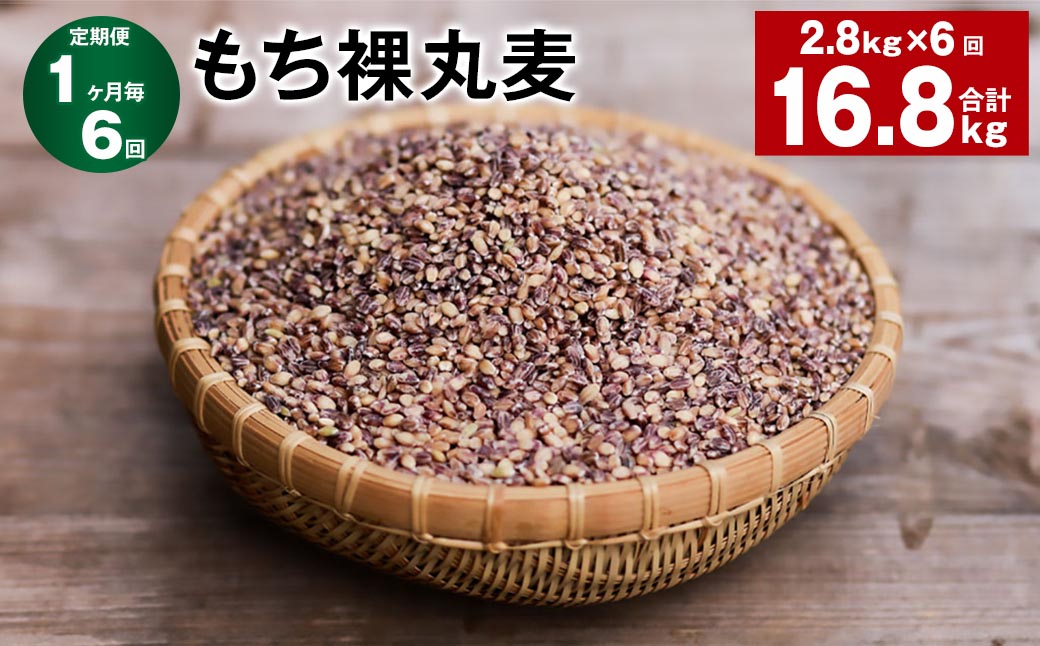 
【1ヶ月毎6回定期便】 もち裸丸麦 計16.8kg（2.8kg✕6回） 麦 もち麦 丸麦 雑穀 大麦
