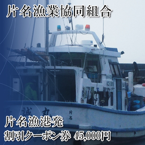 片名漁協 釣り船 割引クーポン45,000円分