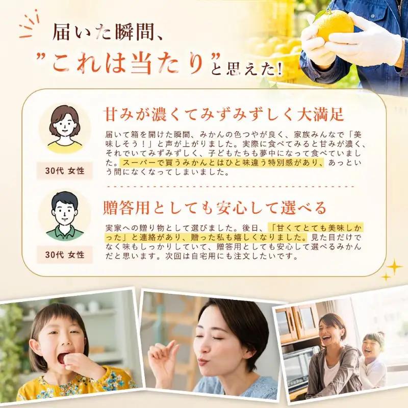清見タンゴール 家庭用 3kg 【2027年2月下旬頃から順次発送】 | 清見 タンゴール みかん ミカン mikan 蜜柑 訳ありフルーツ 柑橘 果物 おすすめ お勧め お取り寄せ ギフト 愛媛県 