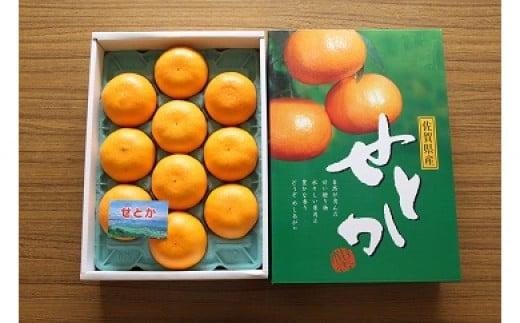 
            川上産柑橘 せとか3kg
          