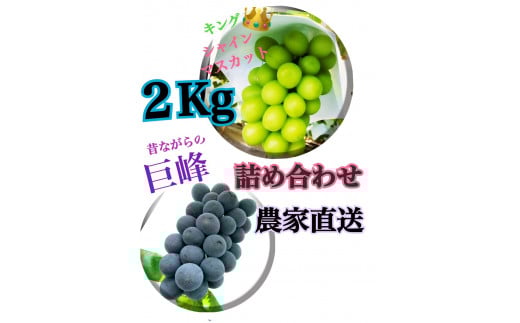 【生産者直送】巨峰＆シャインマスカットMIX 約2キロ【2026年発送】（ISI）B15-803 【巨峰 シャインマスカット 葡萄 ぶどう ブドウ 令和8年発送 期間限定 山梨県産 甲州市 フルーツ 果物】