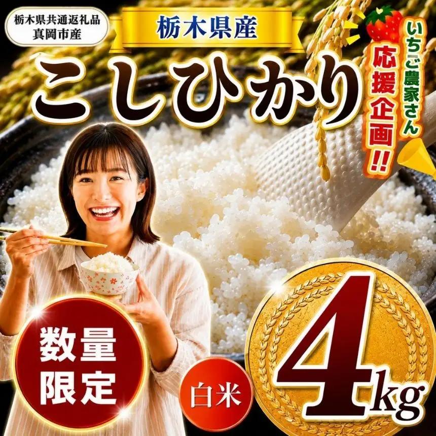 先行予約 令和8年度産 栃木県産 コシヒカリ 4kg |【栃木県共通返礼品】