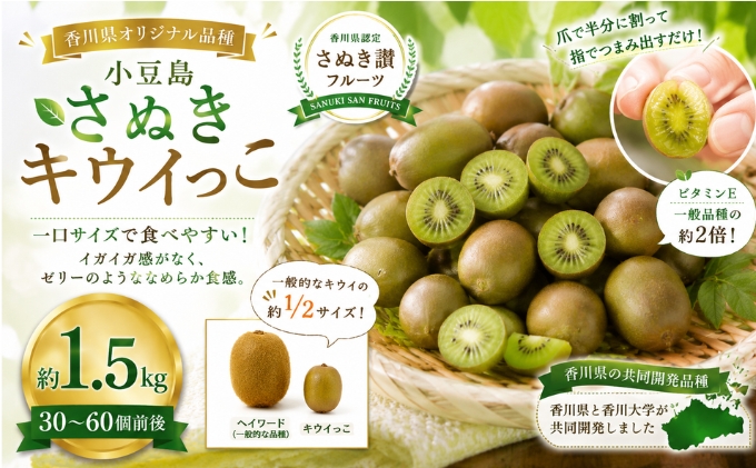 小豆島さぬきキウイっこ  約1.5kg キウイ フルーツ 果物 香川県 土庄町