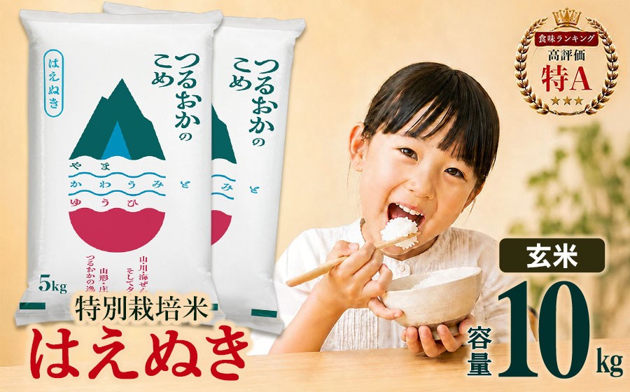 
                  【令和7年産】 特別栽培米 はえぬき 玄米 10kg(5kg×2袋)　山形県 庄内産 　| 10キロ 米 お米 コメ 食品 ご飯 ごはん 美味しい おいしい ブランド米 庄内米 エコ包装 おすすめ 人気 山形県 鶴岡市 東北 国産 お取り寄せ SDGs未来都市鶴岡 返礼品
                