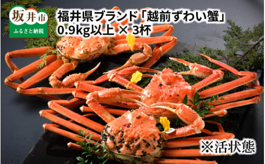 【先行予約】福井県ブランド ≪茹で≫「越前ズワイ蟹」 0.9kg以上 3杯 【2025年2月発送分】 [Q-1401_02]