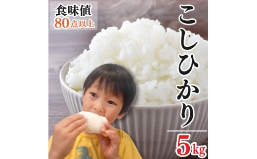 【 先行予約 】お米 コシヒカリ 5kg 令和7年産 米 こめ ご飯 ごはん おにぎり 白米 食品 備蓄 備蓄米 保存 防災 ギフト 贈答 プレゼント お取り寄せ グルメ 送料無料 徳島県 阿波市 やまさ農園