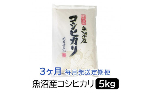 お米マイスター厳選！魚沼産コシヒカリ５kg×３ヶ月毎月発送　定期便　 新潟県 新潟 魚沼 魚沼産 こしひかり 5kg 5キロ  3回 頒布会 3か月