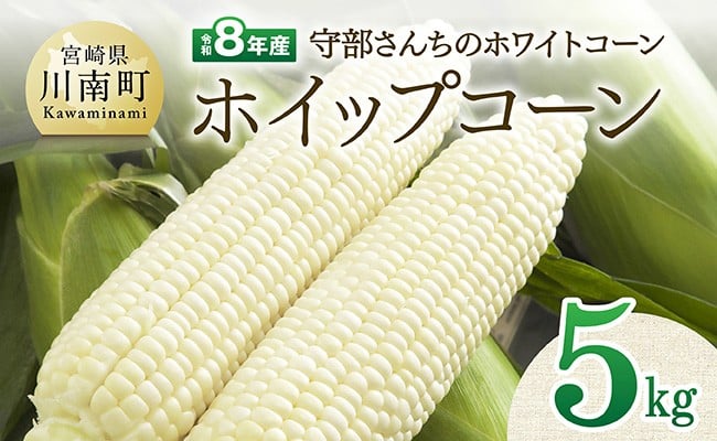 
            【令和8年発送】宮崎県産とうもろこし　守部さんちのホワイトコーン「ホイップコーン」5kg 【 とうもろこし ホワイトコーン トウモロコシ ホイップコーン 令和8年発送 先行予約 数量限定 期間限定 】
          