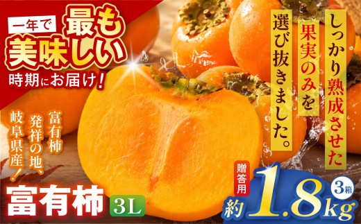 【贈答用・桐箱】先行予約 令和8年11月中旬順次発送 富有柿 ( 3Lサイズ ・ 6個 ／ 1.8kg ) 3箱 |【お歳暮やご挨拶に選ばれる】 完熟収穫が生む格別な甘み 柿 富有柿 フルーツ 果物 完熟 国産 贈答用 贈り物 手土産 ギフト プレゼント お歳暮 季節の果物 高級 岐阜県 本巣郡 北方町