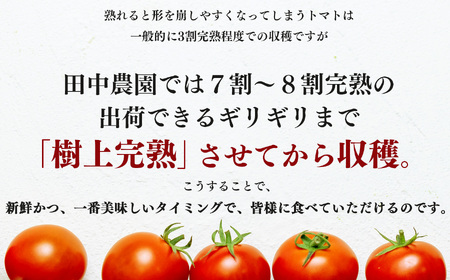 奈良・五條 田中農園の生搾りトマトジュース｜とまと 野菜ジュース 無添加