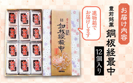 【進物箱】銅板経最中 12個入り[VBU001]ギフト 贈り物 和菓子 饅頭