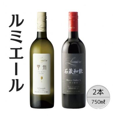 ふるさと納税 笛吹市 ルミエール　石蔵和飲・甲州シュールリー　計2本セット 167-118