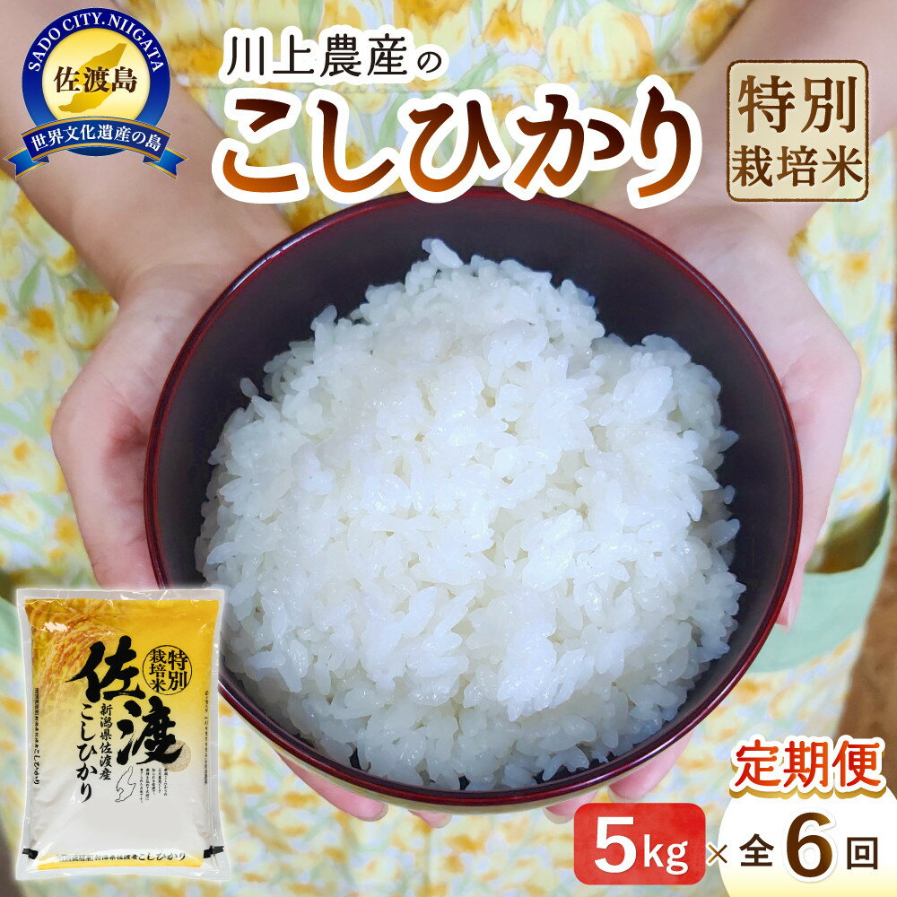 【ふるさと納税】令和7年産 佐渡 川上農産のコシヒカリ 定期便（5kg×全6回） | お米 こめ 白米 食品 人気 おすすめ