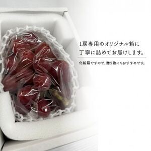 【きよとうファーム】【お試し便】 紫苑(しえん) 1房500g～(岡山県産)【配送不可地域：離島】【1549075】