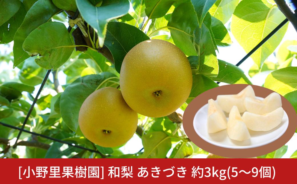 
            和梨 あきづき 約3kg(5～9個) 新潟県産 梨 三条市 令和7年産 [小野里果樹園] 【010S787】
          