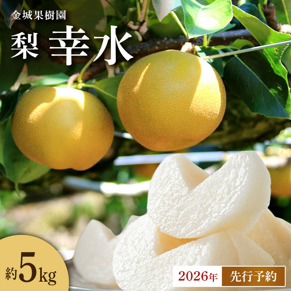 【ふるさと納税】【2026年先行予約】金城果樹園　梨「幸水」約5kg（10～16玉入）2026年8月中旬～順次発送 | フルーツ 果物 くだもの 食品 人気 おすすめ 送料無料