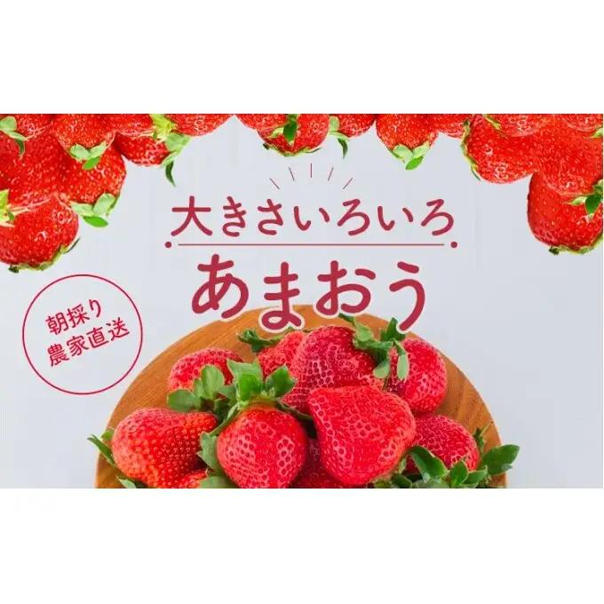 【訳あり】 いちご 2027年2月中旬より発送 あまおうサイズ色々 4パック 約1.14kg いちご