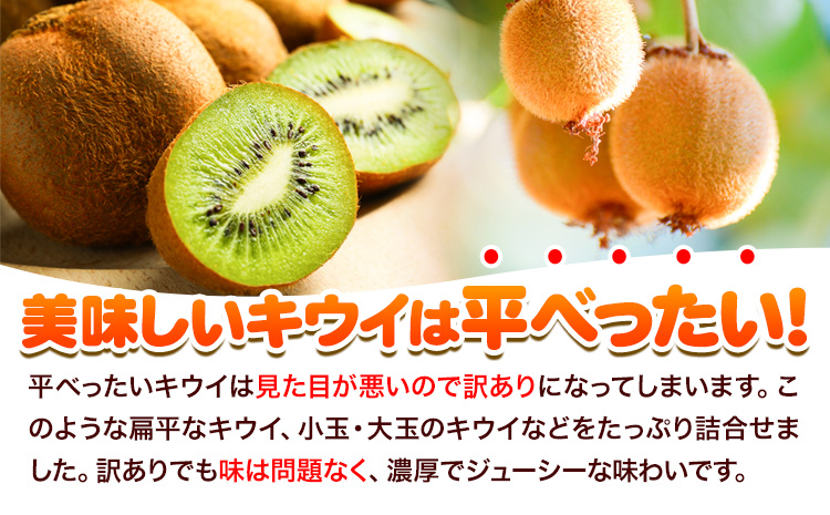 先行予約 ご家庭用 キウイ フルーツ 約2.5kg ＋250g (傷み補償分) 池田鹿蔵農園@日高町（池田農園株式会社）《11月中旬～2027年4月下旬出荷》【配送不可地域あり】和歌山県 日高町 わけ