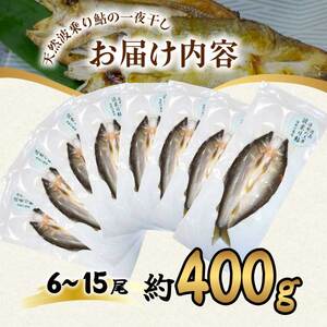 先行予約 天然波乗り鮎の一夜干し 約400g 6～8尾 干物 一夜干し 鮎 天然 熟成 あゆ アユ 天然鮎 清流 海部川 川魚 簡単調理 冷凍 【2024年8月以降にお届け】