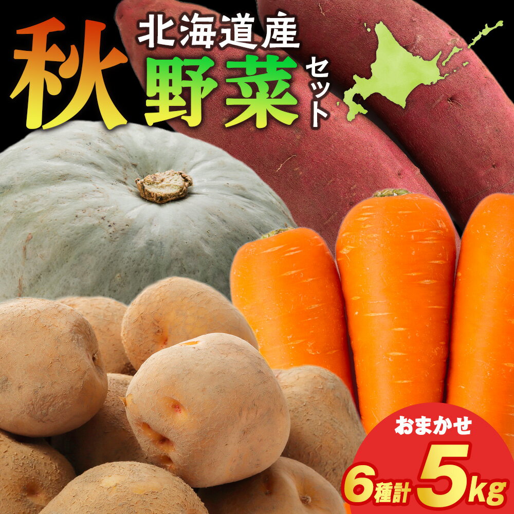 【ふるさと納税】【2025年10月上旬以降順次発送】秋野菜 詰め合わせ 6種 計5kg サツマイモ・かぼちゃ・じゃがいも・にんじん・他 おたのしみ 秋野菜北海道ふるさと納税 木古内町 ふるさと納税 北海道