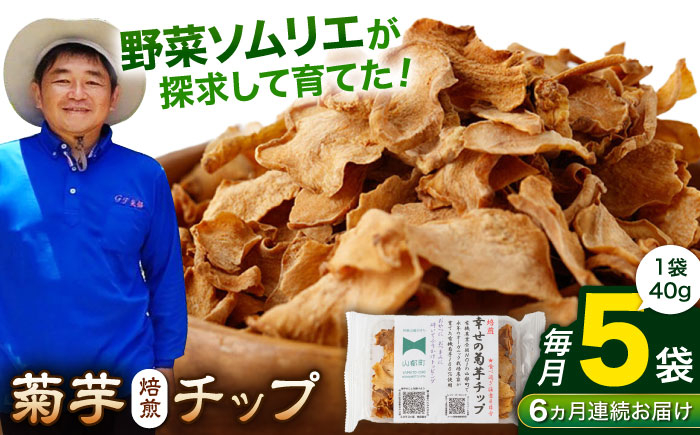 
            【全6回定期便】【数量限定】菊芋 焙煎 チップ 200g (40g×5パック)【グリーンファーム矢部】 [YDC012]
          