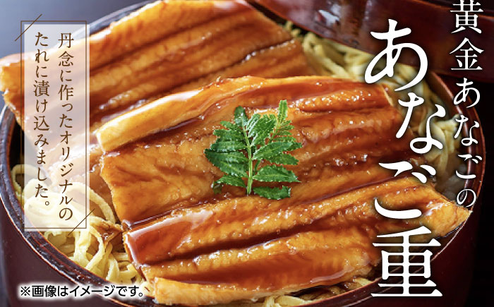 対馬 グルメ 大満喫セット（8品目）《対馬市》【株式会社サイキ】村元とんちゃん 平和とんちゃん 鶏のいりやき  対州そば 黄金あなご の あなご重 あおさ あじの開き しまのコッコちゃん [WAX00