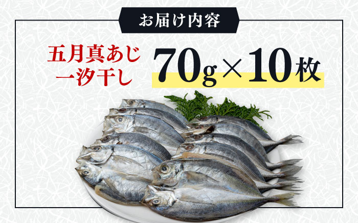 対馬 五月 真あじ 一汐干し 10枚 《 対馬市 》【 うえはら株式会社 】新鮮 アジ 干物 海産物 朝食 冷凍 [WAI009]