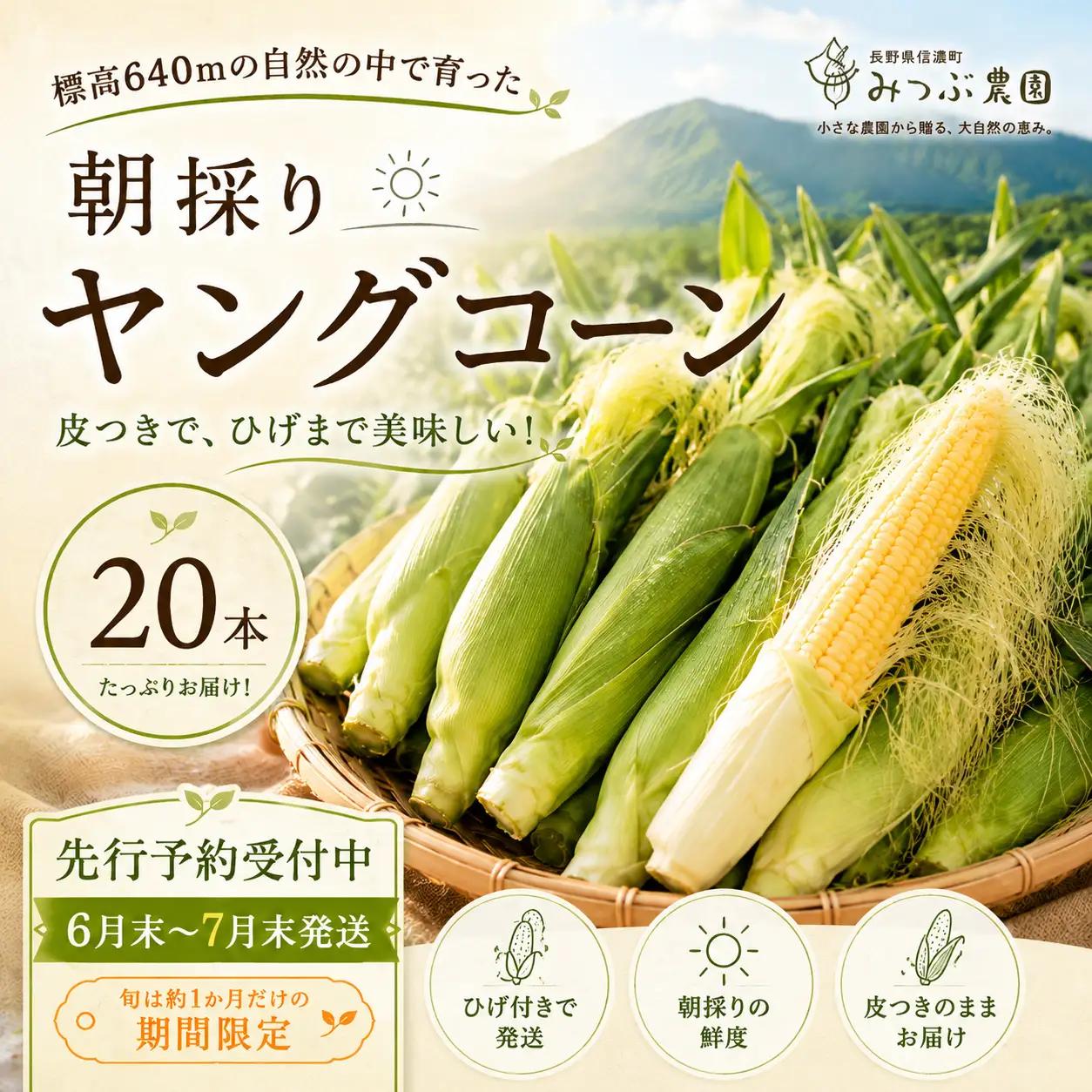 【令８年７月７日迄】朝採れヤングコーン20本｜ひげまで甘い！自然循環農法で育んだ旬を直送