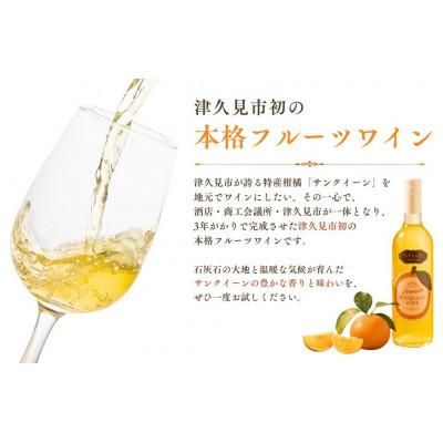 ふるさと納税 津久見市 【数量限定】プレミアムサンクイーンワイン(2本)〜つくみPremium SUNQUEEN WINE〜 |  | 01