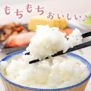 【 先行予約】6ヶ月 定期便 令和8年産 はえぬき 5kg×6回 計30kg