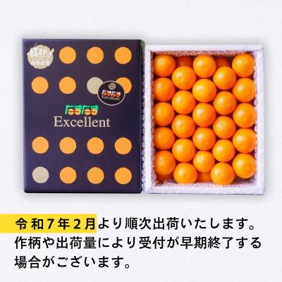 ふるさと納税 高千穂町 完熟きんかん たまたまエクセレント 1kg |  | 02