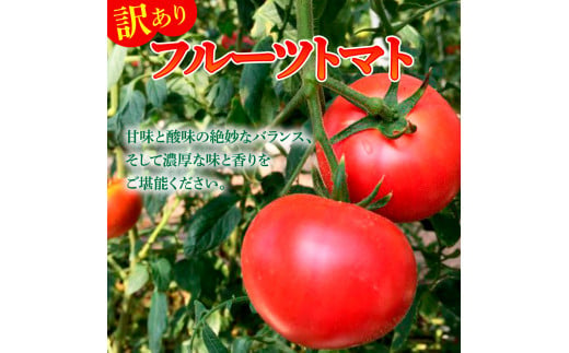 【先行予約】フルーツトマト 訳あり 約1kg <2027年1月〜発送> / 大小混合 1キロ トマト とまと ふるーつとまと 高知 桃太郎 完熟 糖度8度以上 濃厚 野菜 料理 サラダ マリネ おいしい 新鮮 食品【池トマト】[BQAG052]