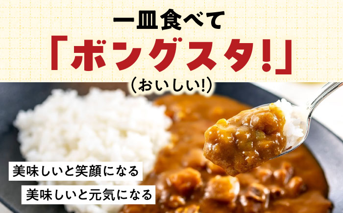 一皿の贅沢！料理長が作ったレトルトカレー「ボングスタ！」3種詰め合わせ15個セット　愛媛県大洲市/ラヴィーナ姫路 [AGAM003]レトルトカレー カレーライス ランチ キーマカレー チキンカレー ビ